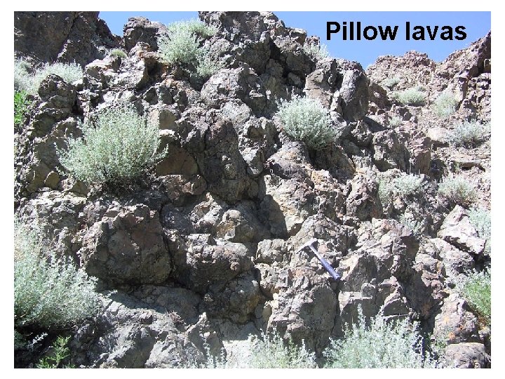 Pillow lavas 