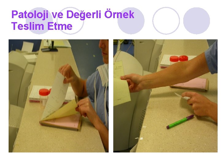 Patoloji ve Değerli Örnek Teslim Etme 