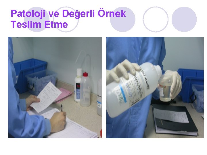 Patoloji ve Değerli Örnek Teslim Etme 