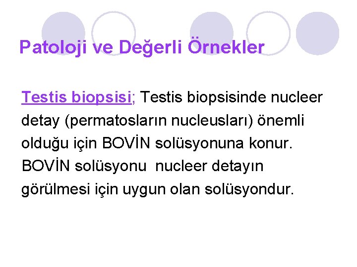 Patoloji ve Değerli Örnekler Testis biopsisi; Testis biopsisinde nucleer detay (permatosların nucleusları) önemli olduğu