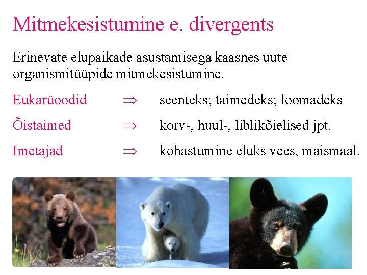 Mitmekesistumine e. divergents Erinevate elupaikade asustamisega kaasnes uute organismitüüpide mitmekesistumine. Eukarüoodid seenteks; taimedeks; loomadeks