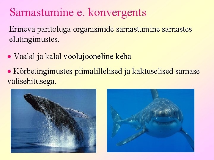 Sarnastumine e. konvergents Erineva päritoluga organismide sarnastumine sarnastes elutingimustes. · Vaalal ja kalal voolujooneline