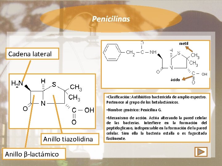 Penicilinas metil Cadena lateral OH ácido • Clasificación: Antibiótico bactericida de amplio espectro. Pertenece