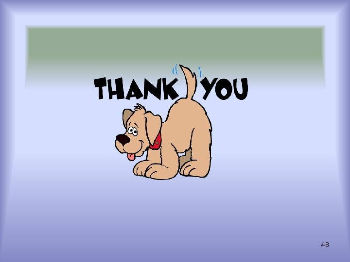 48 48