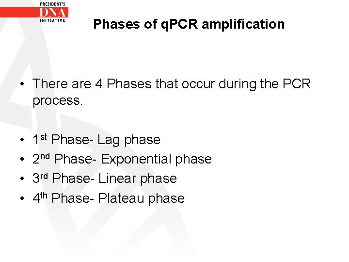 Phases of q. PCR amplification • There are 4 Phases that occur during the