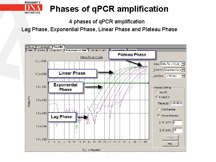 Phases of q. PCR amplification 4 phases of q. PCR amplification Lag Phase, Exponential Phases of q. PCR amplification 4 phases of q. PCR amplification Lag Phase, Exponential