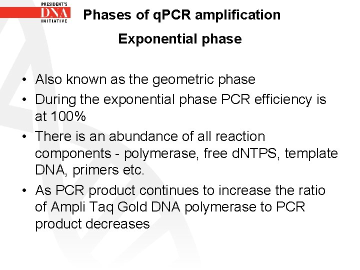 Phases of q. PCR amplification Exponential phase • Also known as the geometric phase