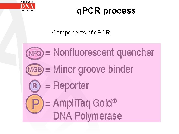 q. PCR process Components of q. PCR 