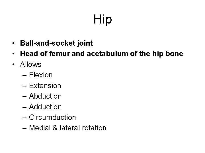 Hip • Ball-and-socket joint • Head of femur and acetabulum of the hip bone