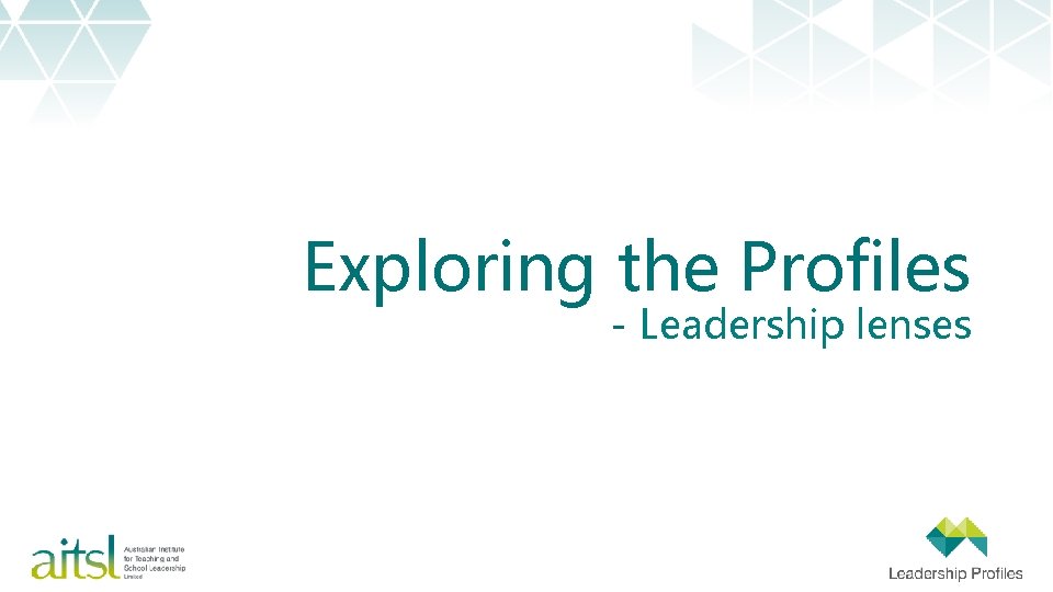 Exploring the Profiles - Leadership lenses 
