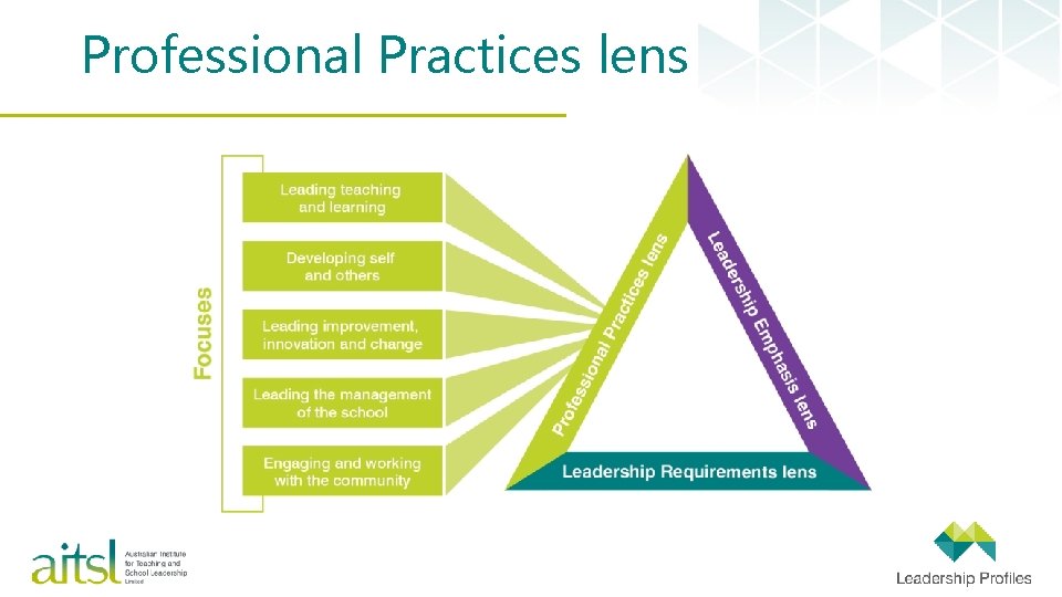 Professional Practices lens 