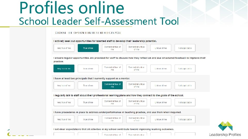 Profiles online School Leader Self-Assessment Tool 