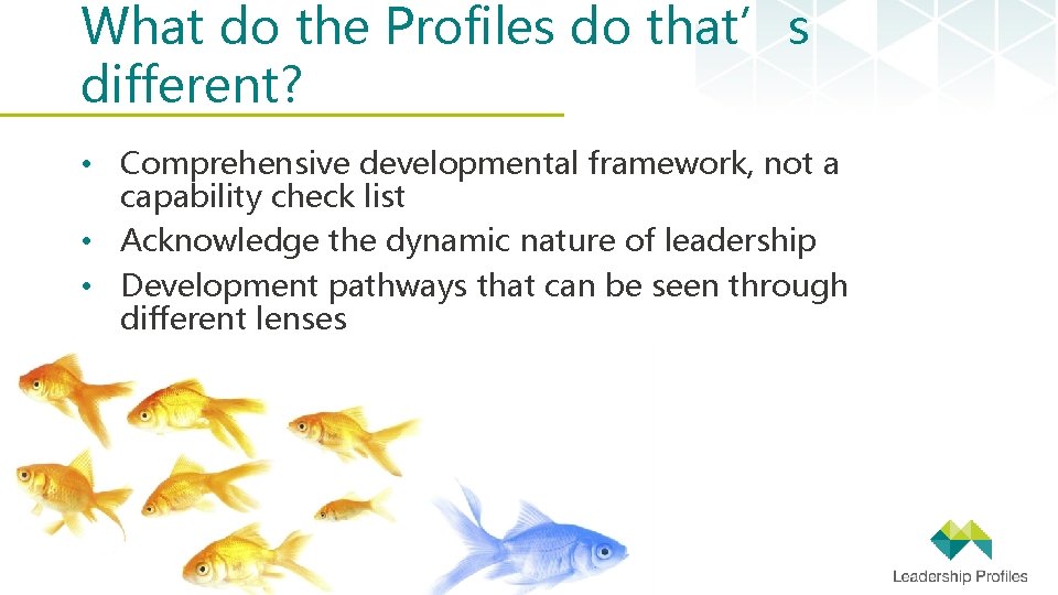 What do the Profiles do that’s different? • Comprehensive developmental framework, not a capability