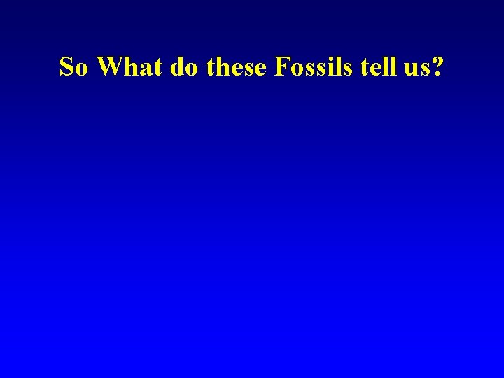 So What do these Fossils tell us? 