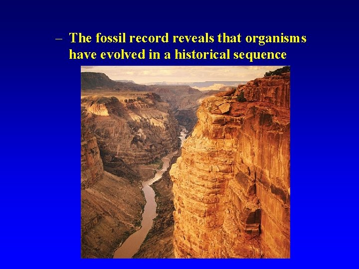 – The fossil record reveals that organisms have evolved in a historical sequence 