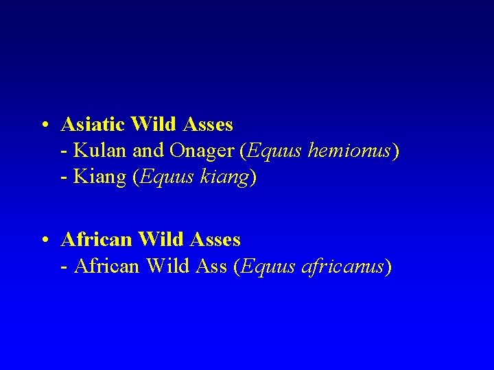  • Asiatic Wild Asses - Kulan and Onager (Equus hemionus) - Kiang (Equus