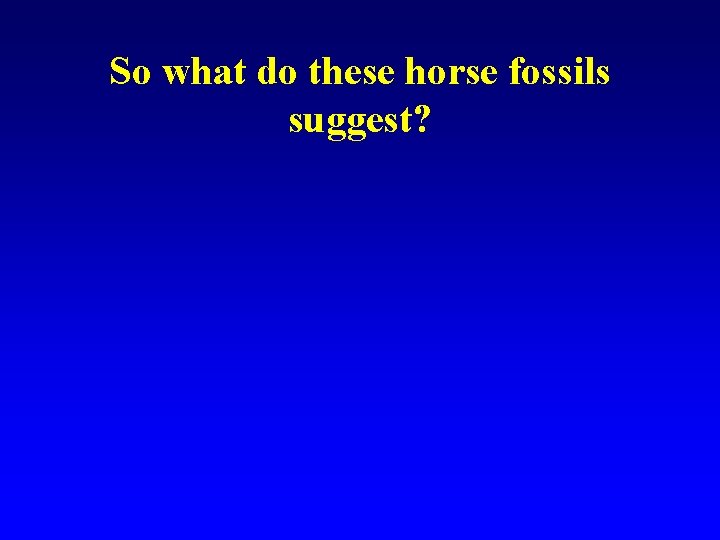 So what do these horse fossils suggest? 