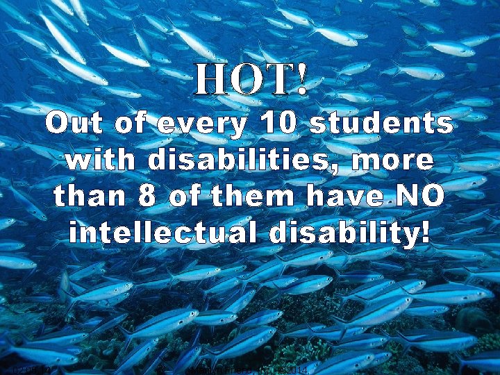 HOT! Out of every 10 students with disabilities, more than 8 of them have