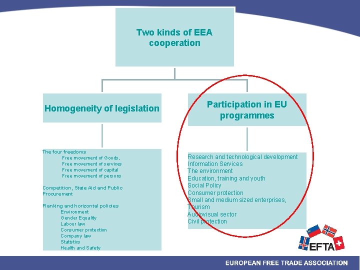 Two kinds of EEA cooperation Homogeneity of legislation The four freedoms Free movement of