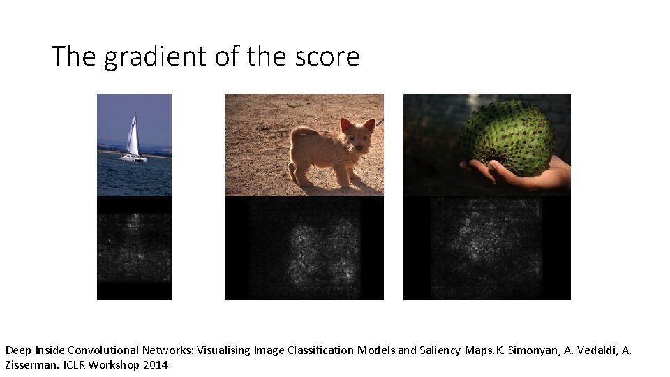 The gradient of the score Deep Inside Convolutional Networks: Visualising Image Classification Models and