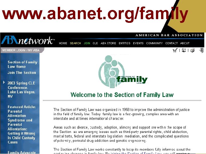 www. abanet. org/family 