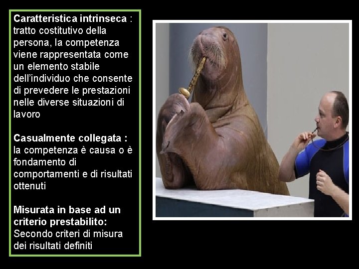 Caratteristica intrinseca : tratto costitutivo della persona, la competenza viene rappresentata come un elemento Caratteristica intrinseca : tratto costitutivo della persona, la competenza viene rappresentata come un elemento
