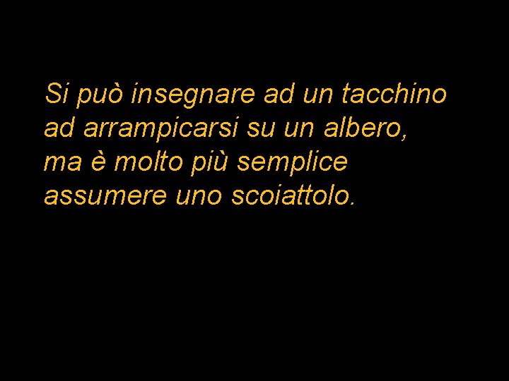 Si può insegnare ad un tacchino ad arrampicarsi su un albero, ma è molto Si può insegnare ad un tacchino ad arrampicarsi su un albero, ma è molto