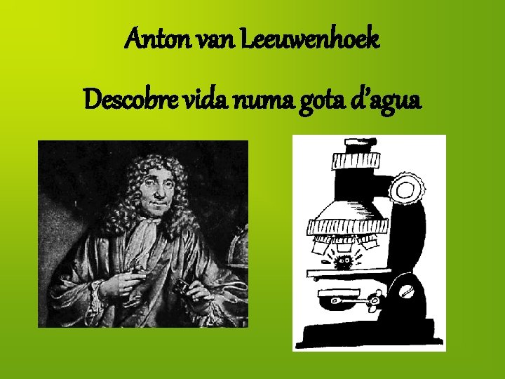 Anton van Leeuwenhoek Descobre vida numa gota d’agua 