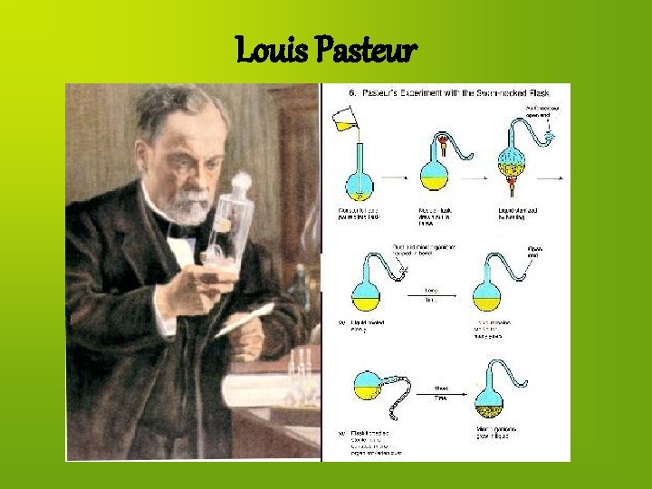 Louis Pasteur 