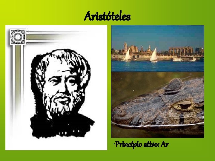 Aristóteles • Princípio ativo: Ar 