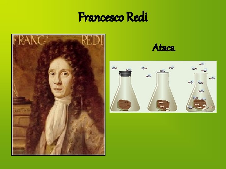 Francesco Redi Ataca 