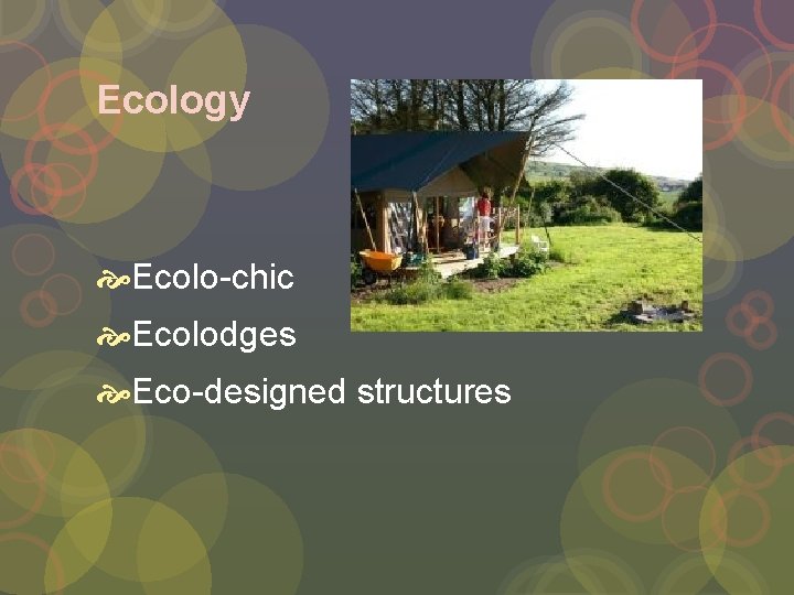 Ecology Ecolo-chic Ecolodges Eco-designed structures 