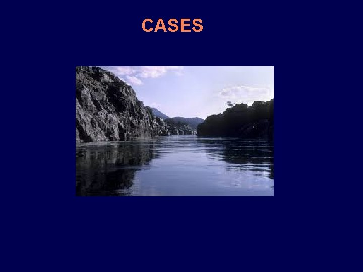 CASES 