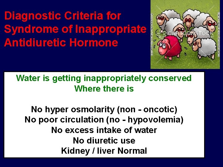 Diagnostic Criteria for Syndrome of Inappropriate Antidiuretic Hormone Water is getting inappropriately conserved Where