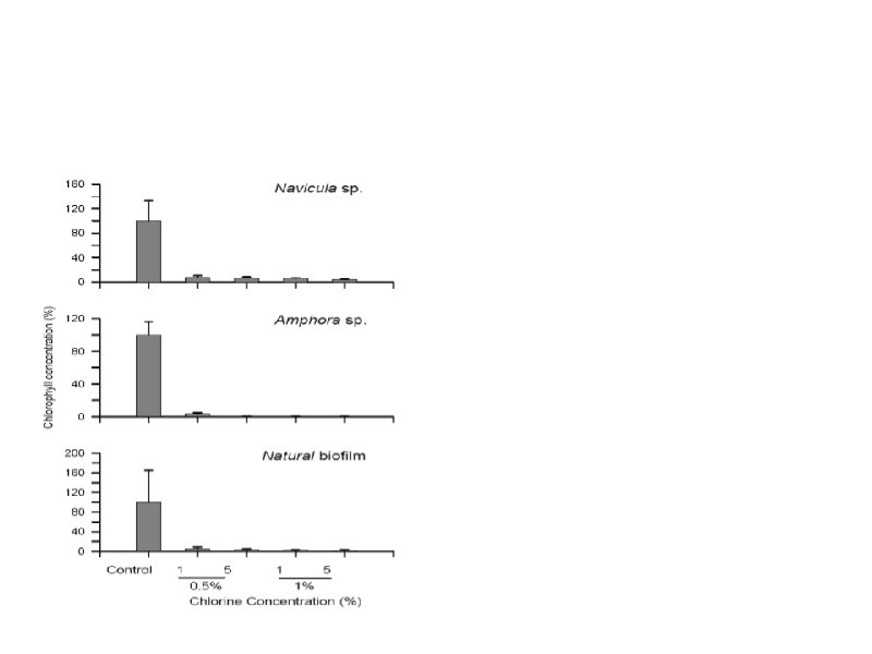 Effect of chlorine on the chlorophyll a. Effect of chlorine on the chlorophyll is