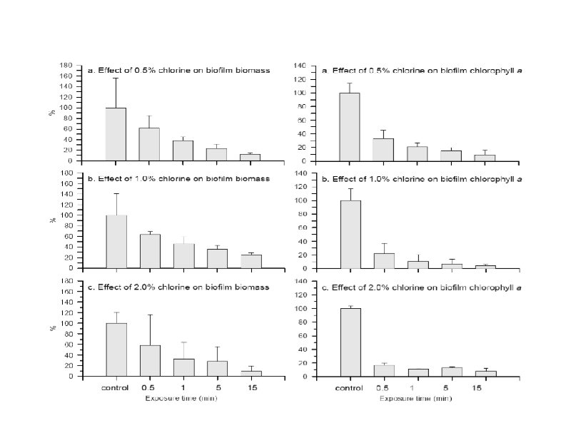 Effect of pulse chlorination Biofilm biomass & chlorophyll 