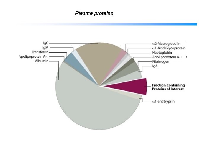 Plasma proteins 