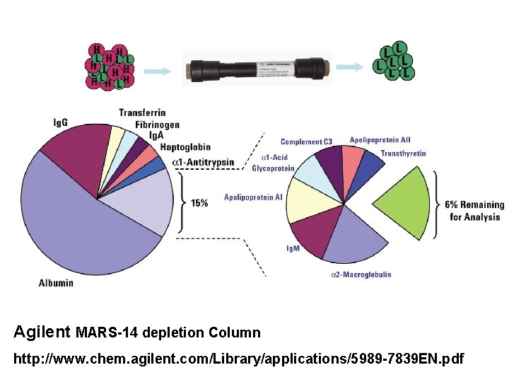 Depletion of Abundant Plasma Proteins Agilent MARS-14 depletion Column http: //www. chem. agilent. com/Library/applications/5989
