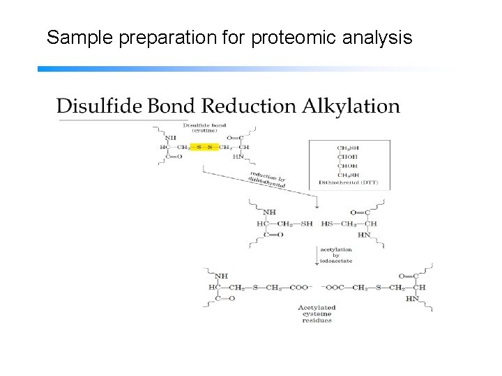 Sample preparation for proteomic analysis 