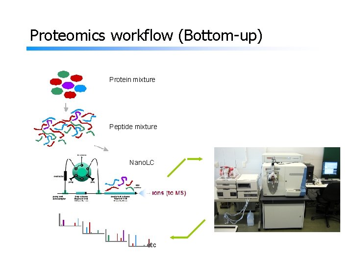 Proteomics workflow (Bottom-up) Protein mixture Peptide mixture Nano. LC etc 