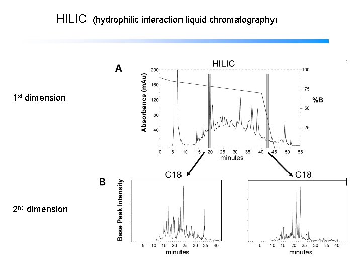 HILIC (hydrophilic interaction liquid chromatography) 1 st dimension 2 nd dimension 