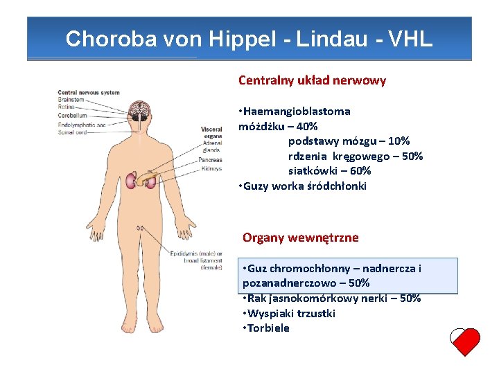 Choroba von Hippel - Lindau - VHL Centralny układ nerwowy • Haemangioblastoma móżdżku –