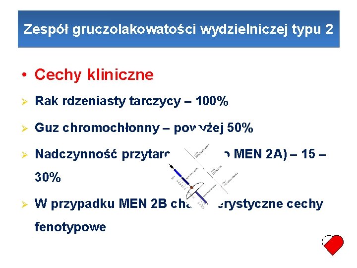 Zespół gruczolakowatości wydzielniczej typu 2 • Cechy kliniczne Rak rdzeniasty tarczycy – 100% Guz