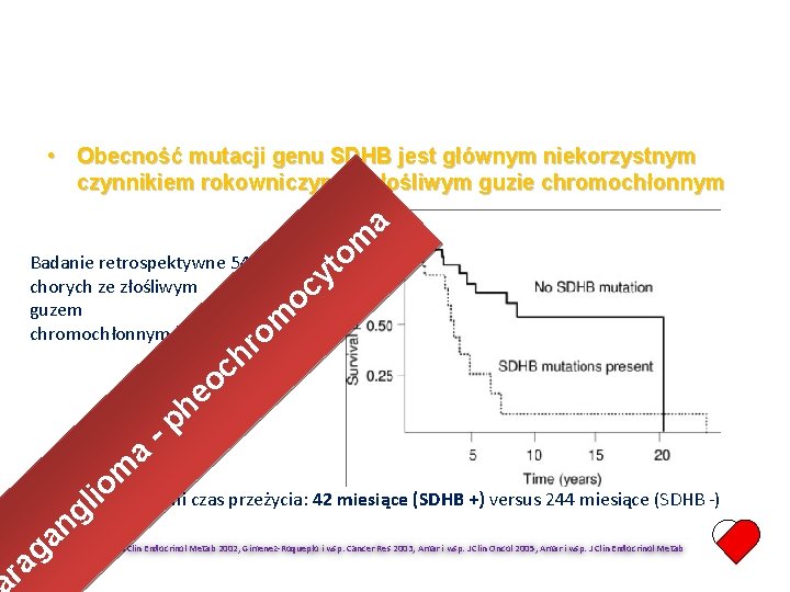  • Obecność mutacji genu SDHB jest głównym niekorzystnym czynnikiem rokowniczym w złośliwym guzie