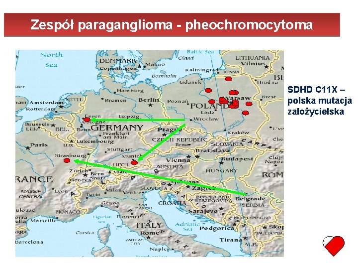 Zespół paraganglioma - pheochromocytoma SDHD C 11 X – polska mutacja założycielska 