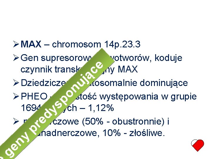  MAX – chromosom 14 p. 23. 3 Gen supresorowy nowotworów, koduje e czynnik