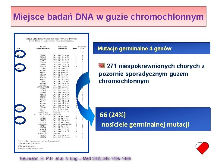 Miejsce badań DNA w guzie chromochłonnym Mutacje germinalne 4 genów 271 niespokrewnionych chorych z