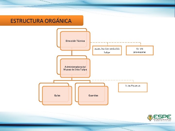 ESTRUCTURA ORGÁNICA Dirección Técnica Administradora del Museo de Sitio Tulipe Guías Guardias 