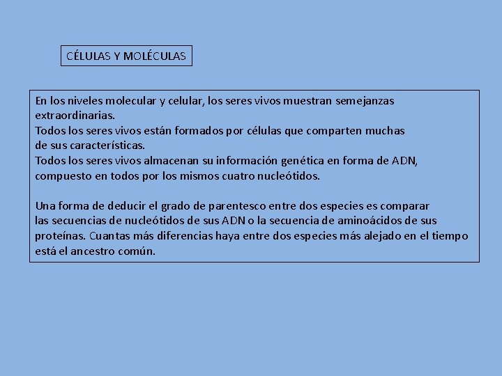 CÉLULAS Y MOLÉCULAS En los niveles molecular y celular, los seres vivos muestran semejanzas