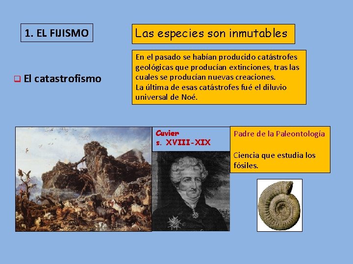 1. EL FIJISMO q El catastrofismo Las especies son inmutables En el pasado se